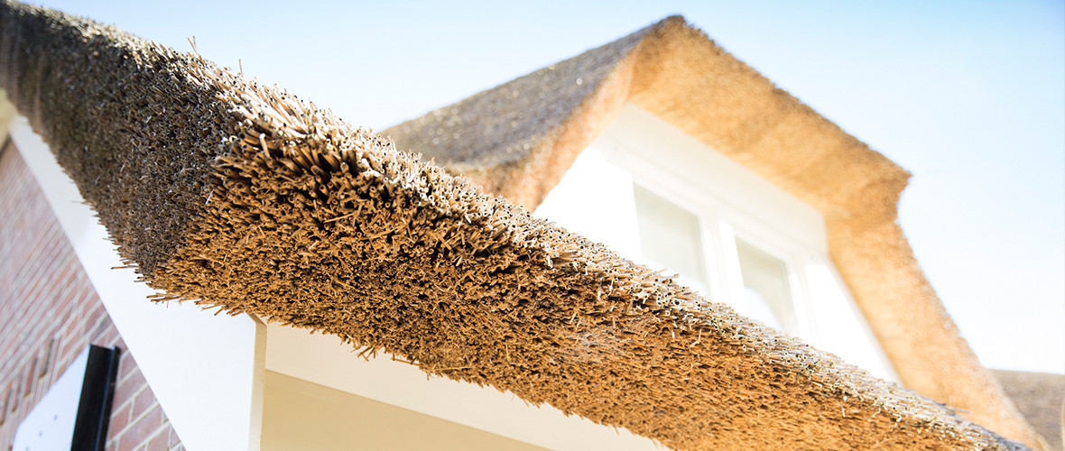 rietgedekte woonboerderij Oldebroek